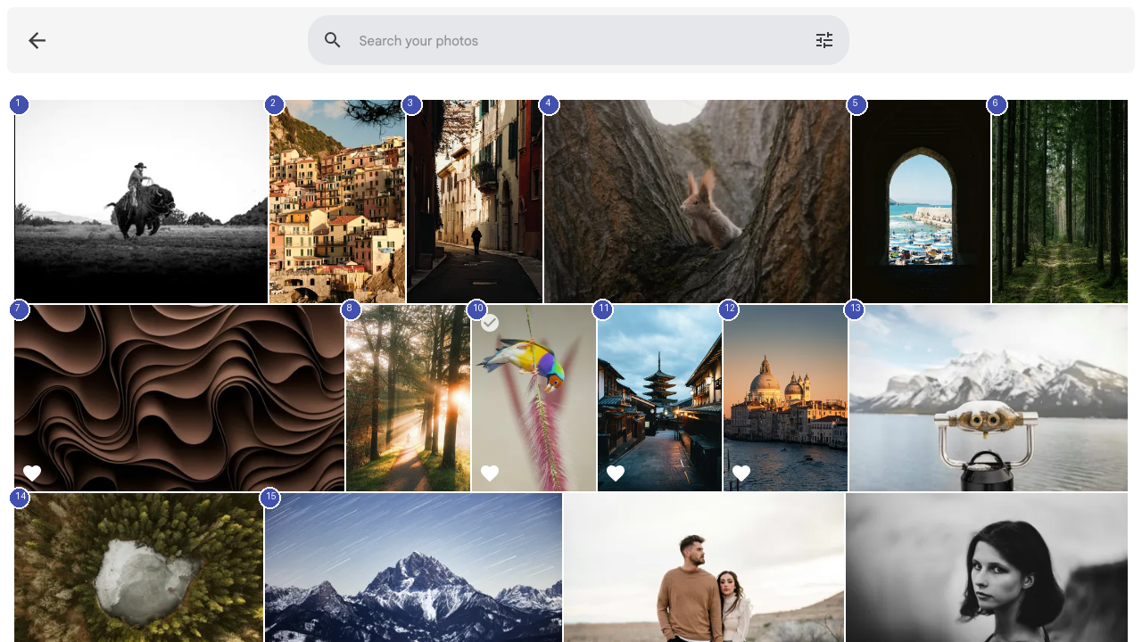 Search interface with filters and results